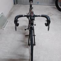 Fondriest Domino Plus