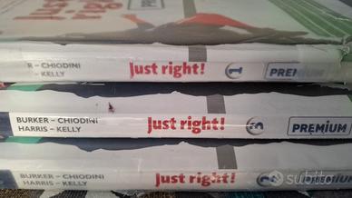 just right vol 1.2.3.