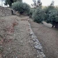 Terreno agricolo