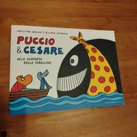 Libro per bambini di 5-6 anni 