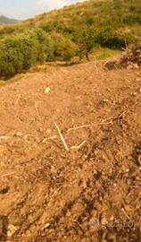 Terreno a lascari 4000mq