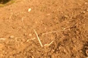Terreno a lascari 4000mq