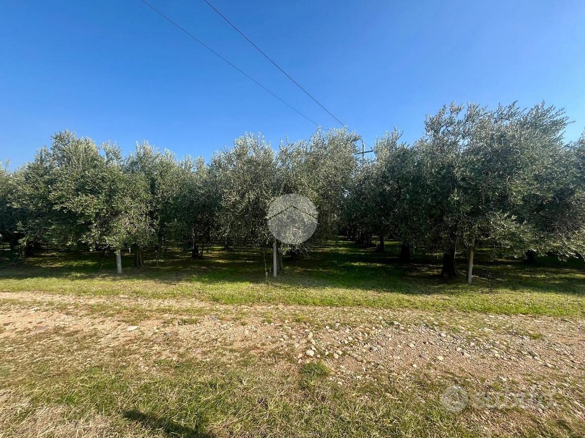 TER. AGRICOLO A RIVOLI VERONESE - Vista 3