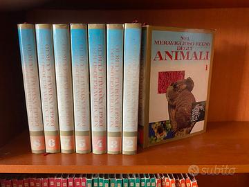 NEL MERAVIGLIOSO MONDO DEGLI ANIMALI