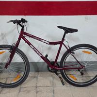 Bici mountainbike 