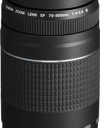 Canon Teleobiettivo Zoom EF 75-300 mm f/4-5.6