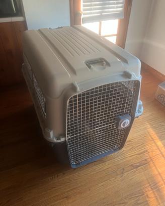 Kennel IATA per voli internazionali Pari al nuovo