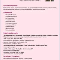 Segretaria cartoleria cassiera tabacchi