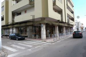 Negozio Copertino [COA 010ACG]