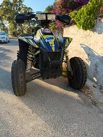 POLARIS SCRAMBLER 500