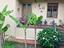 Immagine 14