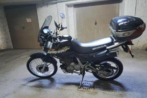 Honda dominator