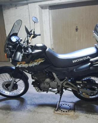 Honda dominator