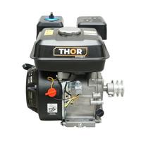 Motore a scoppio con puleggia doppia