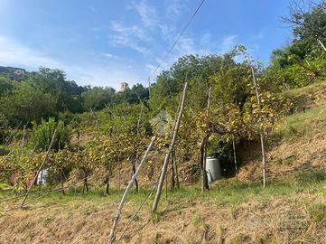 TER. AGRICOLO A CELLATICA