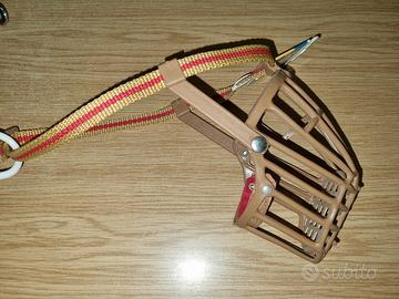 museruola cane