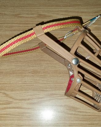 museruola cane
