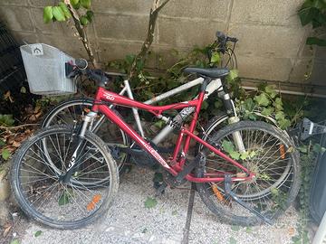 Bici coppia mountain bike