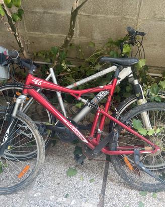 Bici coppia mountain bike