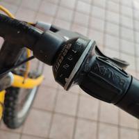 Mountain bike bambino