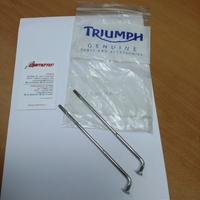 Raggio ruota posteriore triumph T2014366