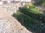 Immagine 8