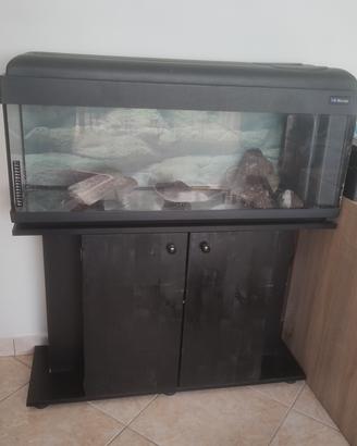 Acquario 
