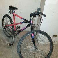 bicicletta bianchi ragno