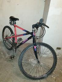 bicicletta bianchi ragno