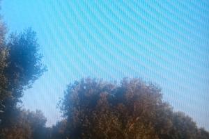 Terreno agricolo Salento