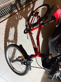 bici bambino mtb