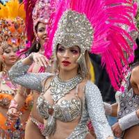 Ballerina brasiliana