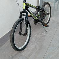 mountain bike da bambino