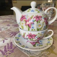 Teiera e tazza da tè