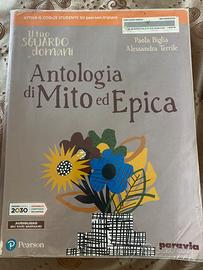 Insieme verao il 2030