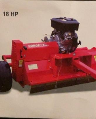 Trincia Concept Perugini