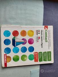 Libro di Geometria Classe seconda Contaci!