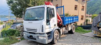 camion con gru 