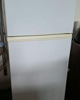 frigo