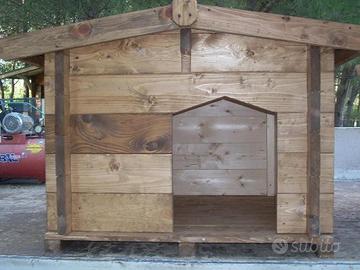 cuccia cane in legno massello 33mm abete nordico