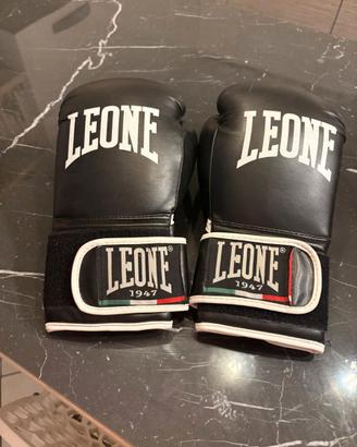 Guantoni Leone