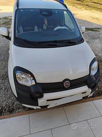 Auto Pandina Fiat