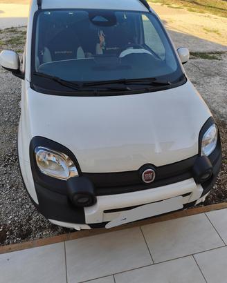 Auto Pandina Fiat