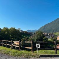 Recinzione per cavalli con Traversine di recupero