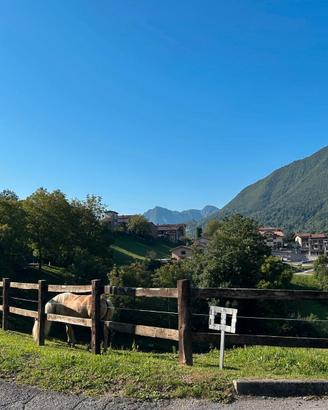 Recinzione per cavalli con Traversine di recupero