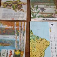 Atlante del mondo vegetale