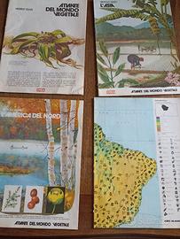 Atlante del mondo vegetale