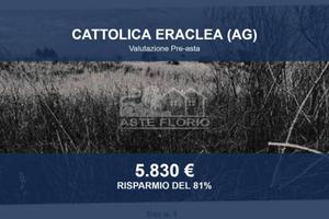 Immobile in asta di 24210 m² a Cattolica Eraclea