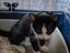 Immagine 2