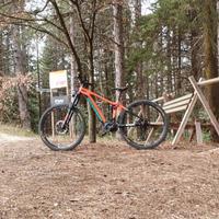 Mondraker level r